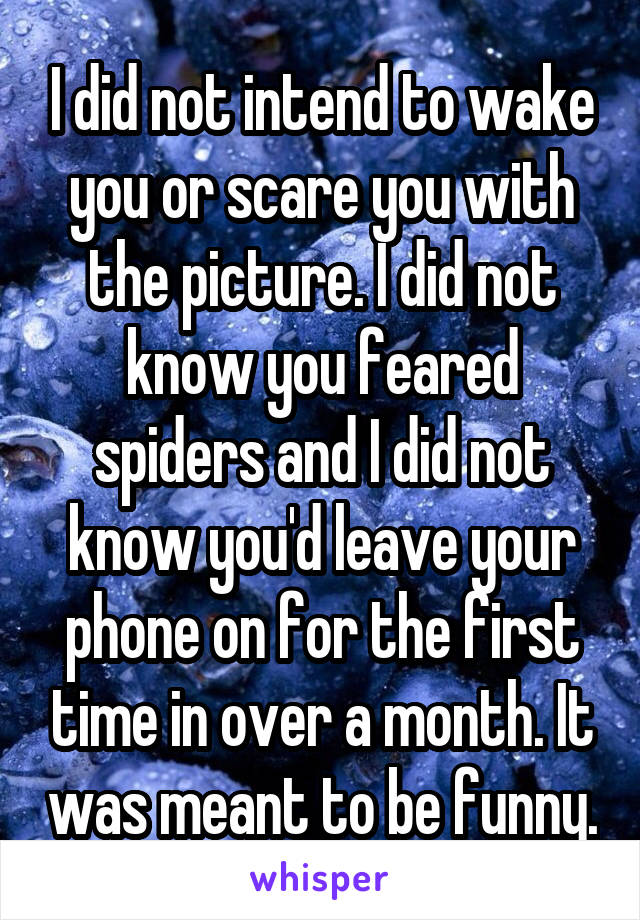 I did not intend to wake you or scare you with the picture. I did not know you feared spiders and I did not know you'd leave your phone on for the first time in over a month. It was meant to be funny.