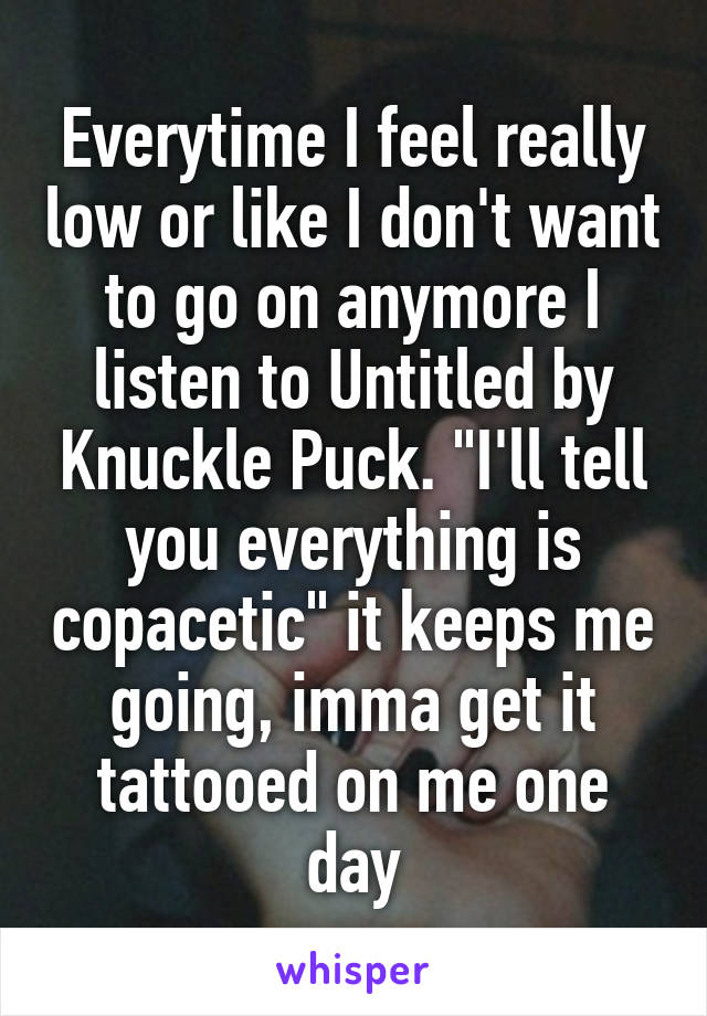 Everytime I feel really low or like I don't want to go on anymore I listen to Untitled by Knuckle Puck. "I'll tell you everything is copacetic" it keeps me going, imma get it tattooed on me one day