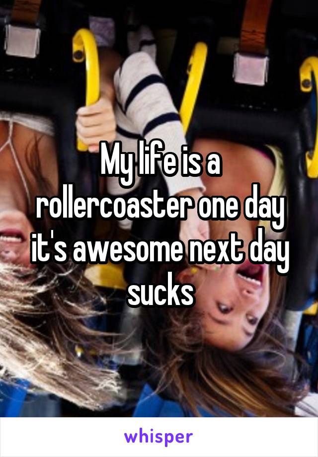 My life is a rollercoaster one day it's awesome next day sucks