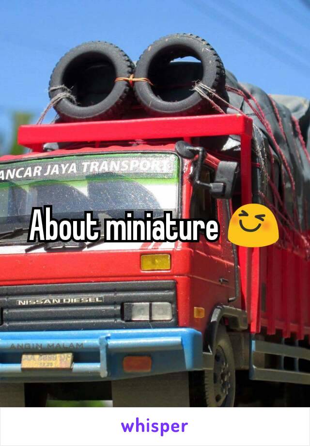 About miniature 😆