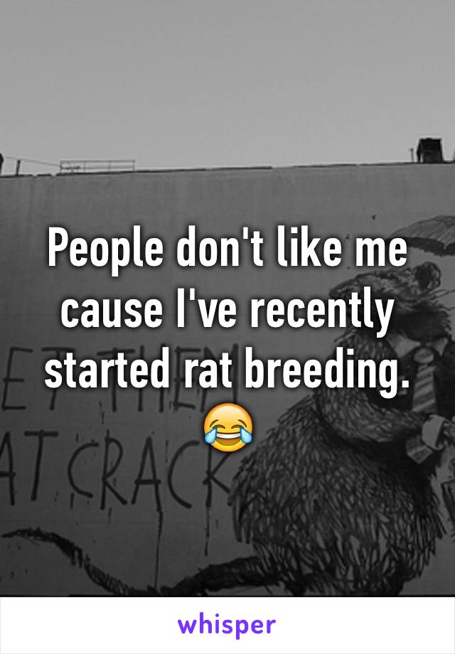 People don't like me cause I've recently started rat breeding. 😂