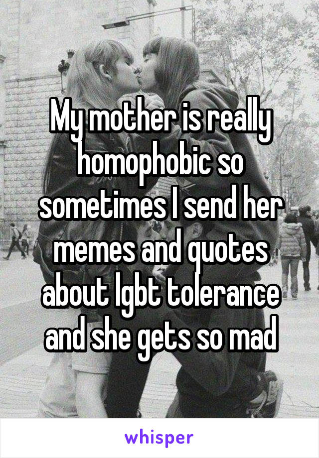 My mother is really homophobic so sometimes I send her memes and quotes about lgbt tolerance and she gets so mad