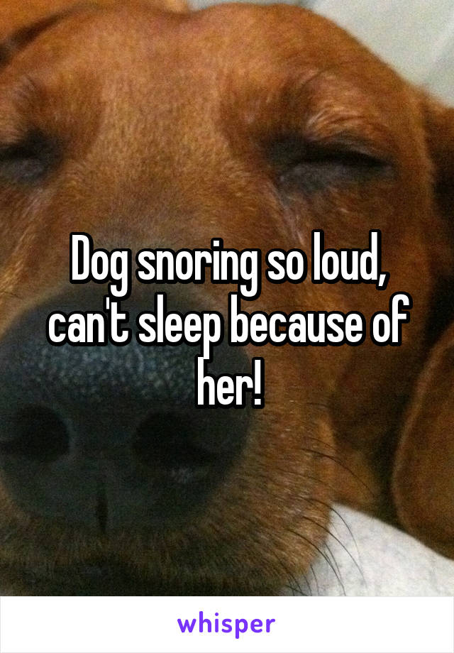 Dog snoring so loud, can't sleep because of her!