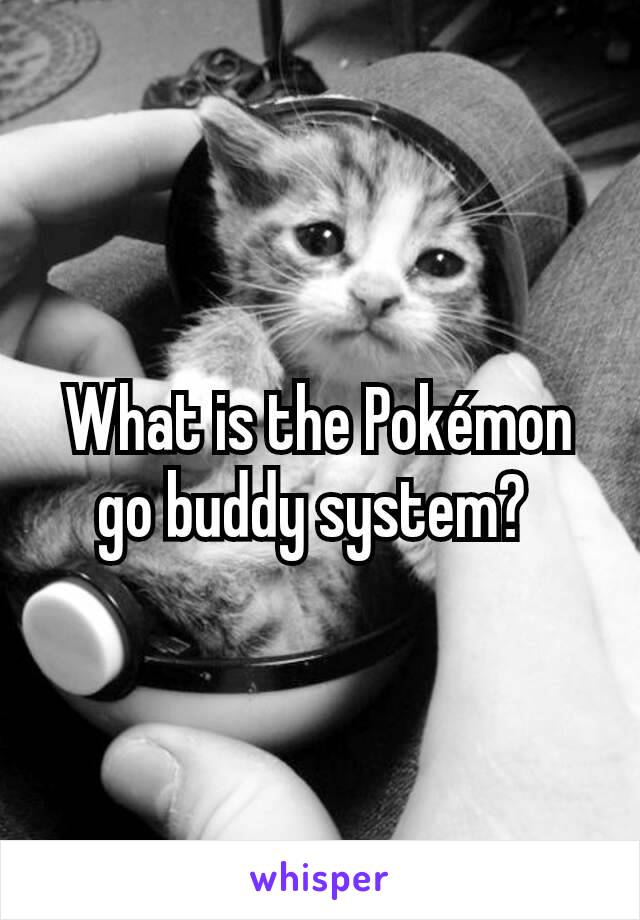 What is the Pokémon go buddy system? 