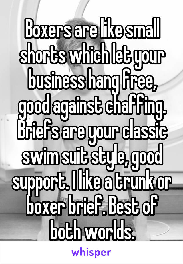 Boxers are like small shorts which let your business hang free, good against chaffing. Briefs are your classic swim suit style, good support. I like a trunk or boxer brief. Best of both worlds.