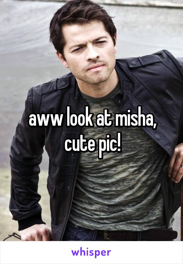 aww look at misha, cute pic!