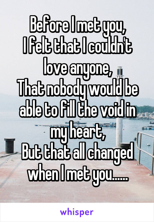 Before I met you,
I felt that I couldn't love anyone,
That nobody would be able to fill the void in my heart,
But that all changed when I met you......
