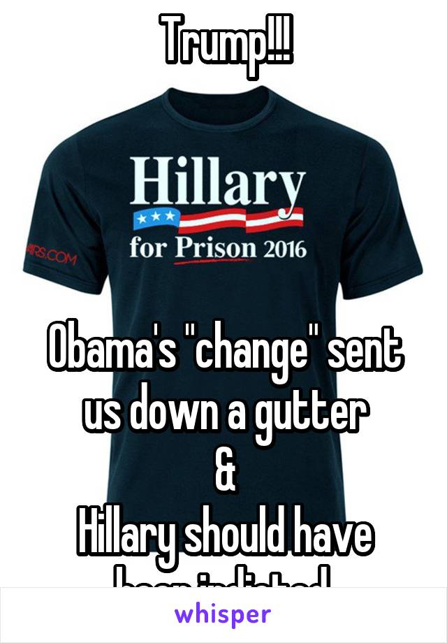 Trump!!!




Obama's "change" sent us down a gutter
&
Hillary should have been indicted.