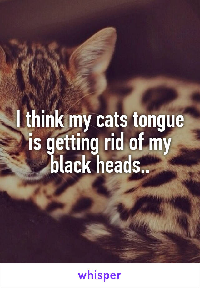 I think my cats tongue is getting rid of my black heads..