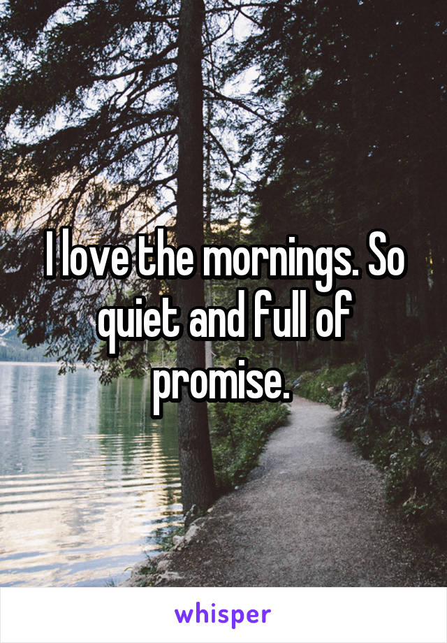 I love the mornings. So quiet and full of promise. 