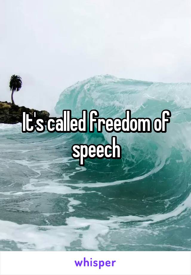 It's called freedom of speech