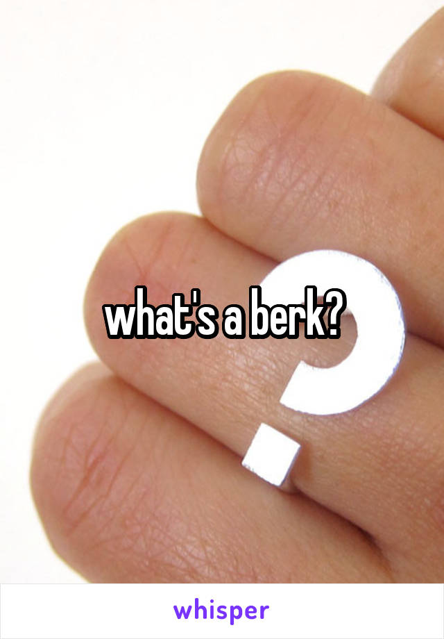 what's a berk?