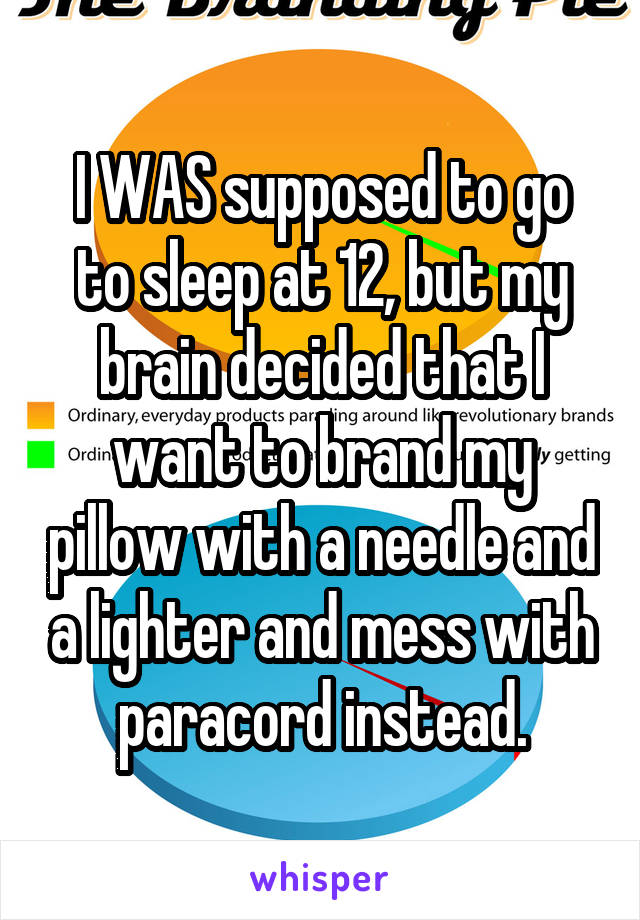 I WAS supposed to go to sleep at 12, but my brain decided that I want to brand my pillow with a needle and a lighter and mess with paracord instead.