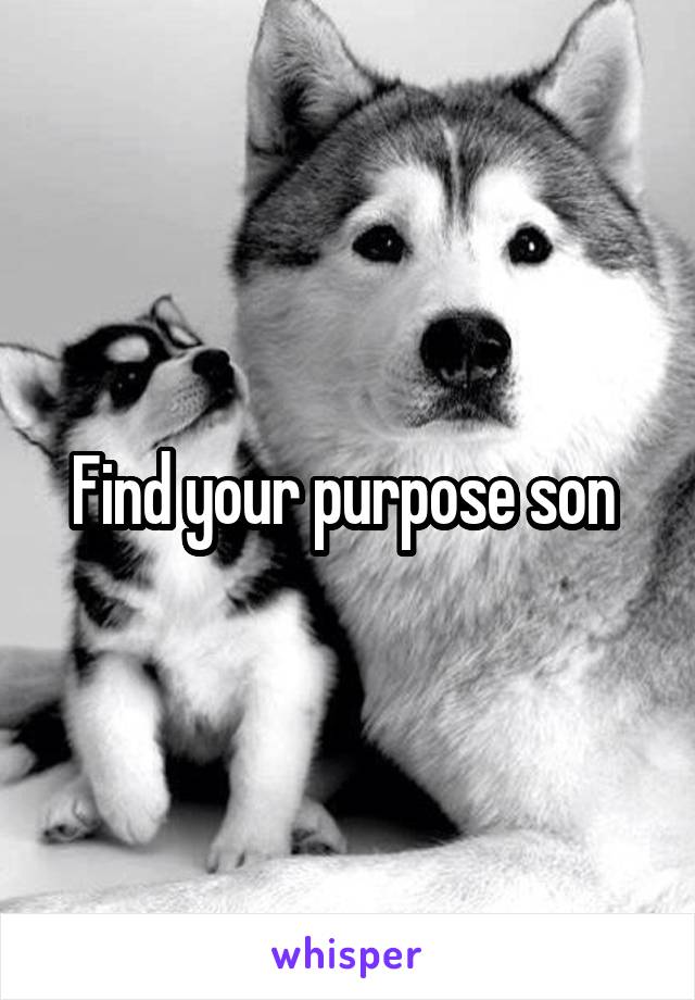 Find your purpose son 