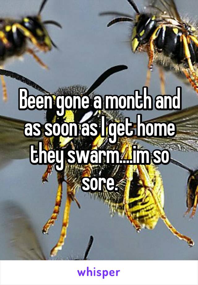 Been gone a month and as soon as I get home they swarm....im so sore.