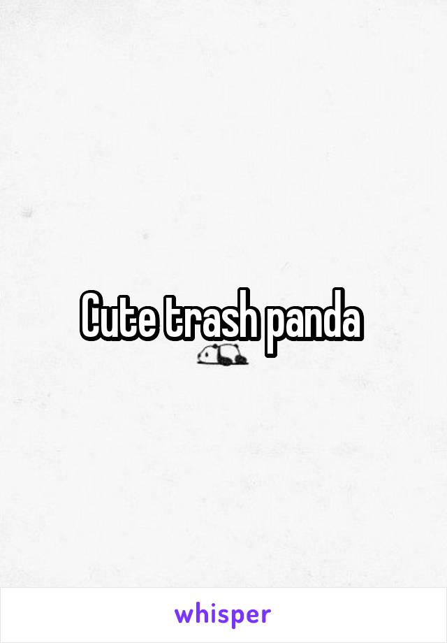 Cute trash panda 