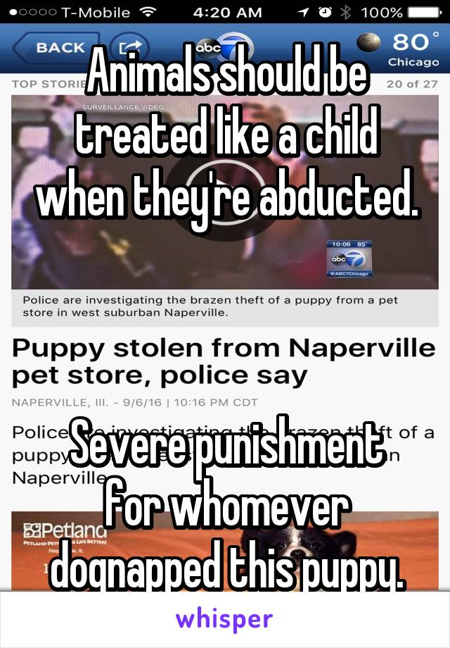 Animals should be treated like a child when they're abducted.



Severe punishment for whomever dognapped this puppy.