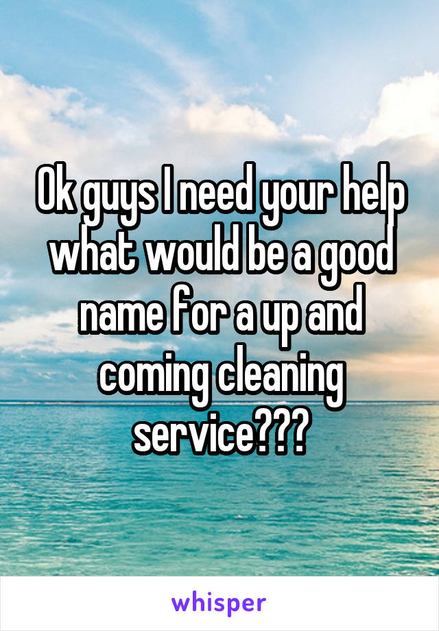 Ok guys I need your help what would be a good name for a up and coming cleaning service???