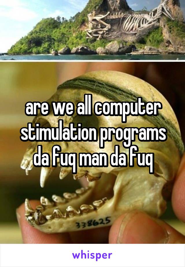 are we all computer stimulation programs da fuq man da fuq