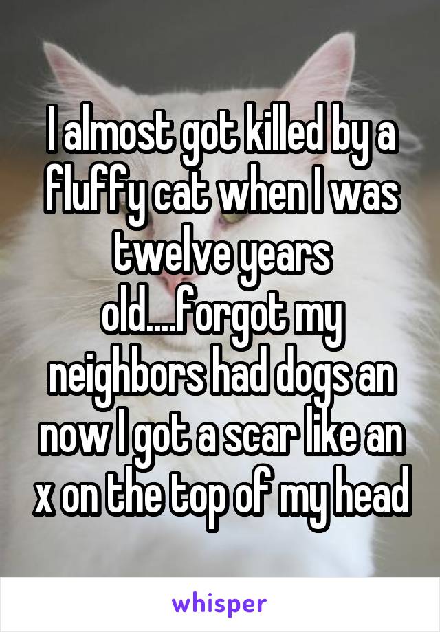 I almost got killed by a fluffy cat when I was twelve years old....forgot my neighbors had dogs an now I got a scar like an x on the top of my head