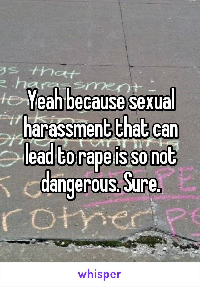 Yeah because sexual harassment that can lead to rape is so not dangerous. Sure.