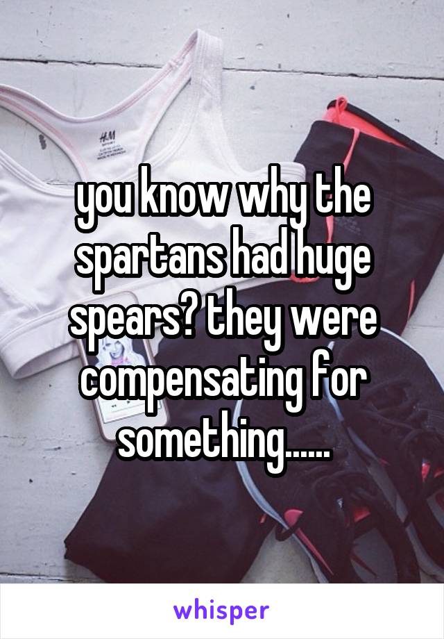 you know why the spartans had huge spears? they were compensating for something......