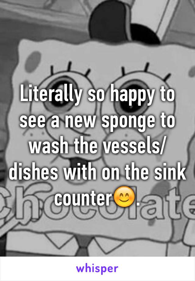 Literally so happy to see a new sponge to wash the vessels/dishes with on the sink counter😊.