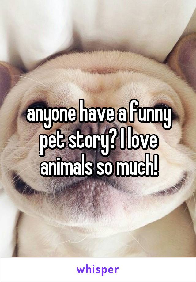 anyone have a funny pet story? I love animals so much!