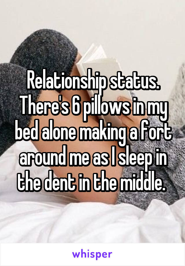 Relationship status. There's 6 pillows in my bed alone making a fort around me as I sleep in the dent in the middle. 