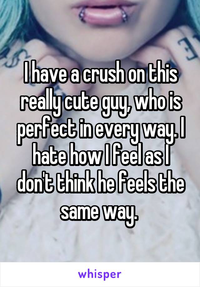 I have a crush on this really cute guy, who is perfect in every way. I hate how I feel as I don't think he feels the same way. 