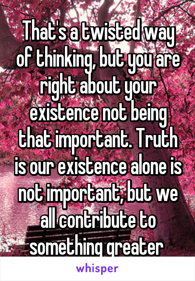 That's a twisted way of thinking, but you are right about your existence not being that important. Truth is our existence alone is not important, but we all contribute to something greater 