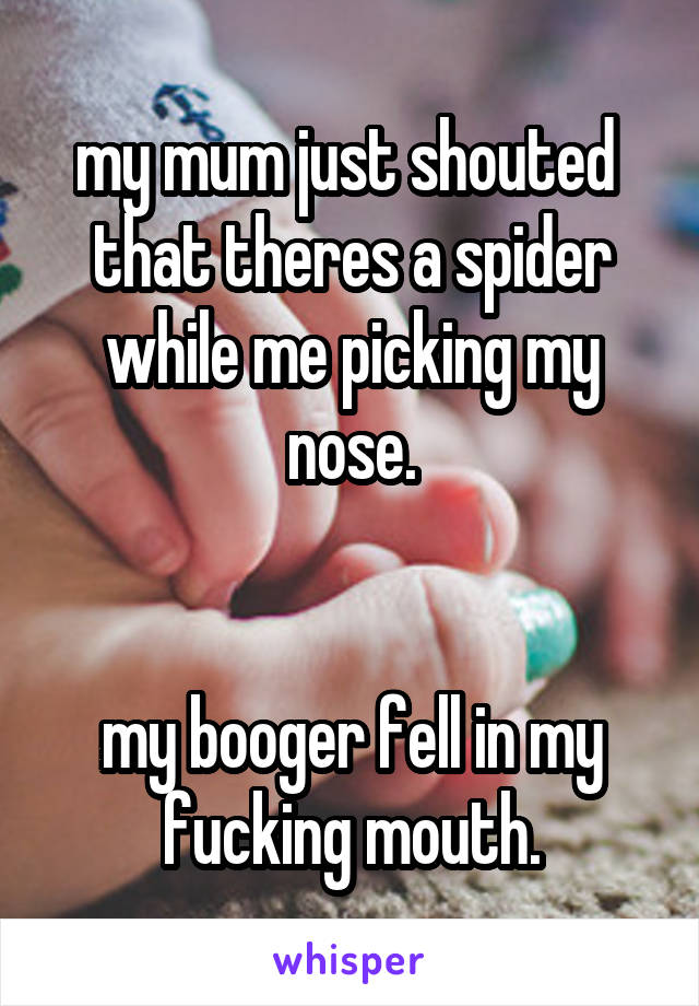 my mum just shouted  that theres a spider while me picking my nose.


my booger fell in my fucking mouth.