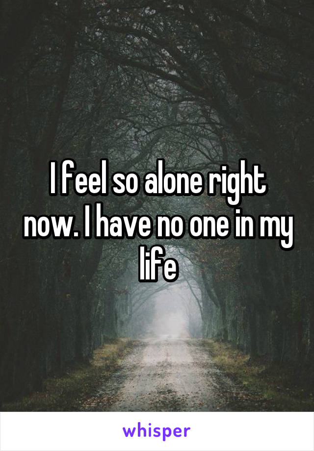 I feel so alone right now. I have no one in my life