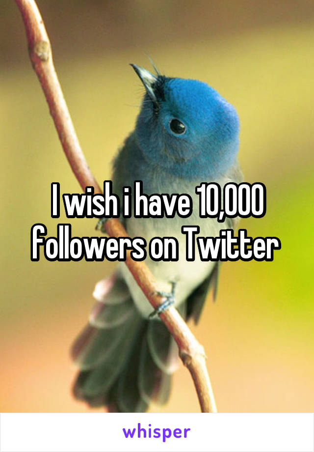 I wish i have 10,000 followers on Twitter 