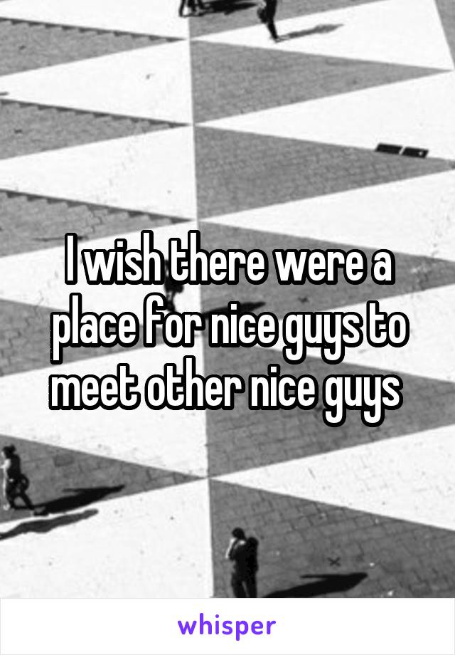 I wish there were a place for nice guys to meet other nice guys 