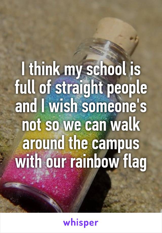 I think my school is full of straight people and I wish someone's not so we can walk around the campus with our rainbow flag