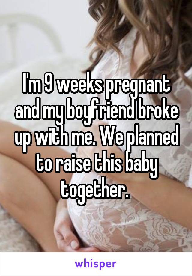 I'm 9 weeks pregnant and my boyfriend broke up with me. We planned to raise this baby together. 