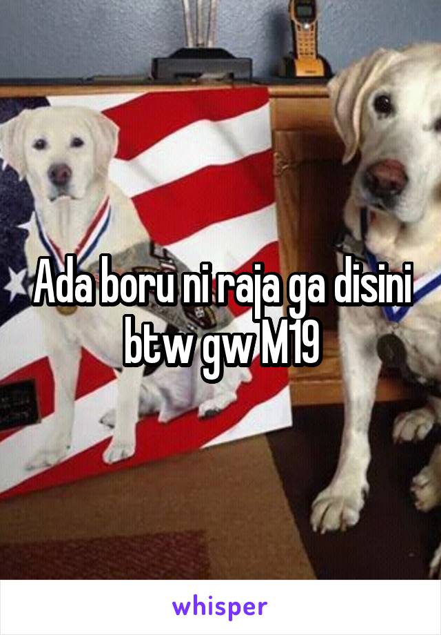 Ada boru ni raja ga disini btw gw M19