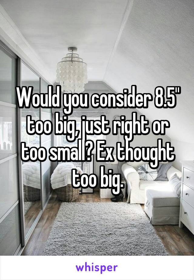 Would you consider 8.5" too big, just right or too small? Ex thought too big.