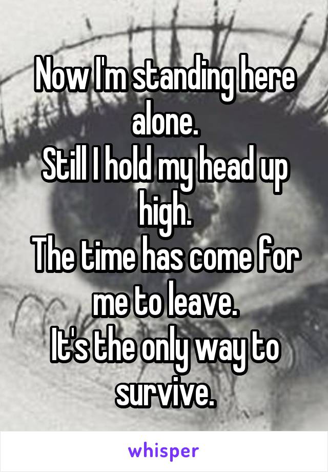 Now I'm standing here alone.
Still I hold my head up high.
The time has come for me to leave.
It's the only way to survive.