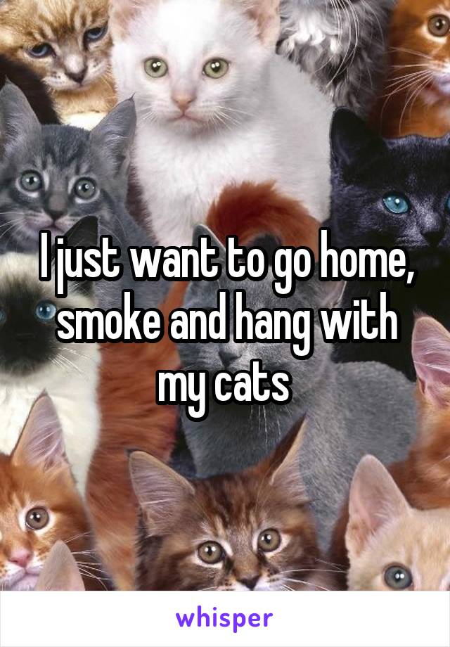 I just want to go home, smoke and hang with my cats 