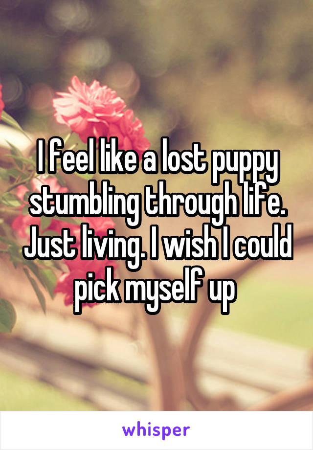 I feel like a lost puppy stumbling through life. Just living. I wish I could pick myself up 