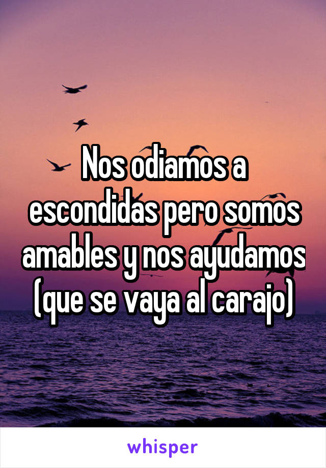 Nos odiamos a escondidas pero somos amables y nos ayudamos (que se vaya al carajo)