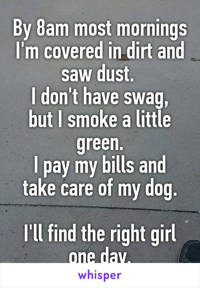 By 8am most mornings I'm covered in dirt and saw dust. 
I don't have swag, but I smoke a little green.
I pay my bills and take care of my dog.

I'll find the right girl one day.