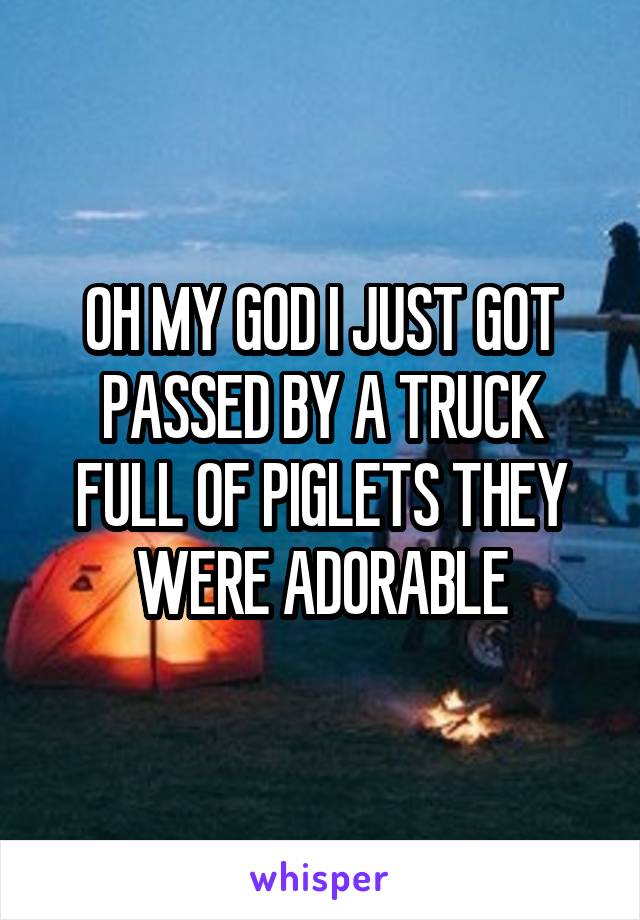 OH MY GOD I JUST GOT PASSED BY A TRUCK FULL OF PIGLETS THEY WERE ADORABLE