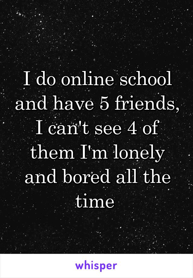 I do online school and have 5 friends, I can't see 4 of them I'm lonely and bored all the time 