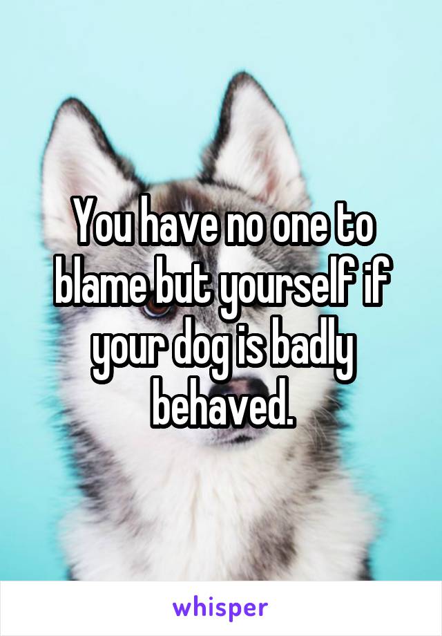 You have no one to blame but yourself if your dog is badly behaved.