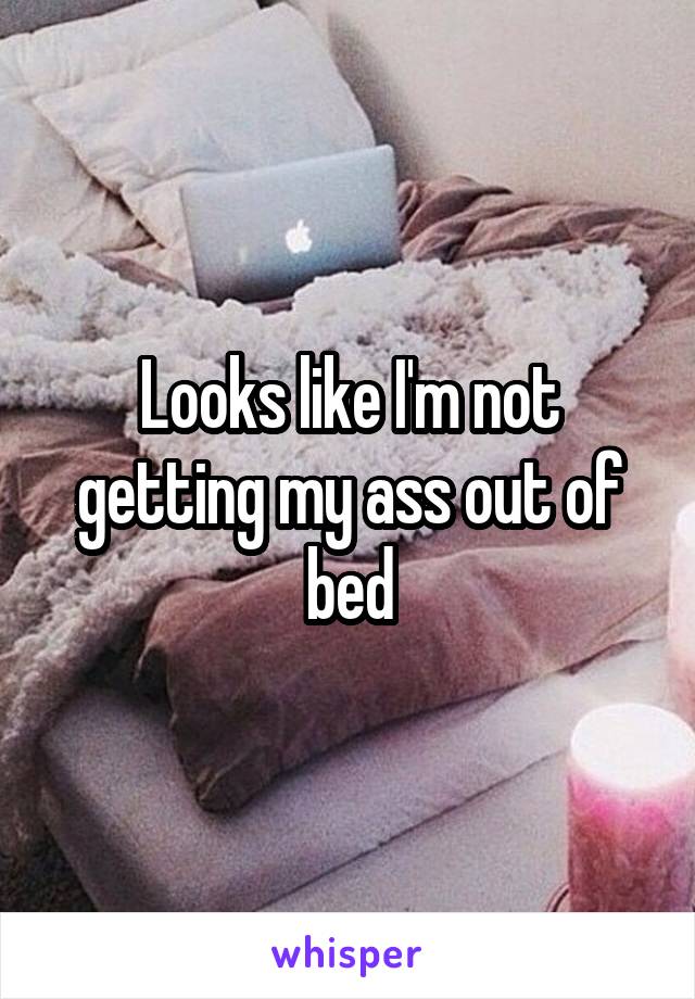 Looks like I'm not getting my ass out of bed