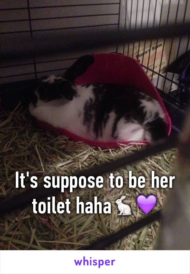 



It's suppose to be her toilet haha🐇💜