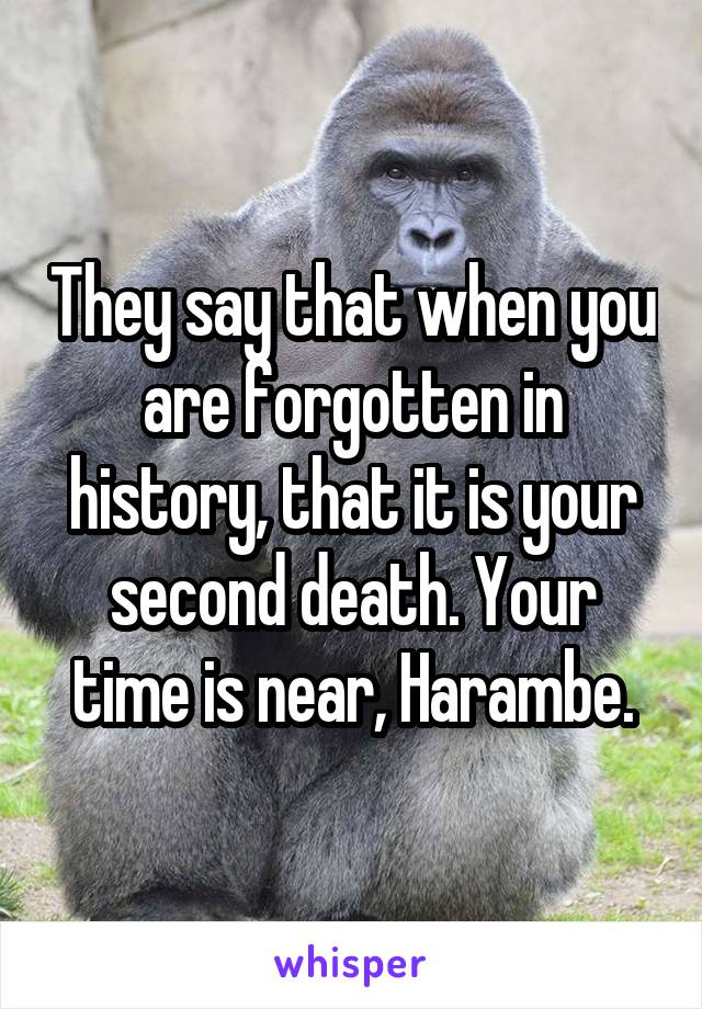 They say that when you are forgotten in history, that it is your second death. Your time is near, Harambe.